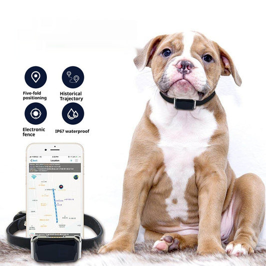 G12 Pet Navigator Locator Smart Wear GPS Cat Dog Anti-lost Tracking